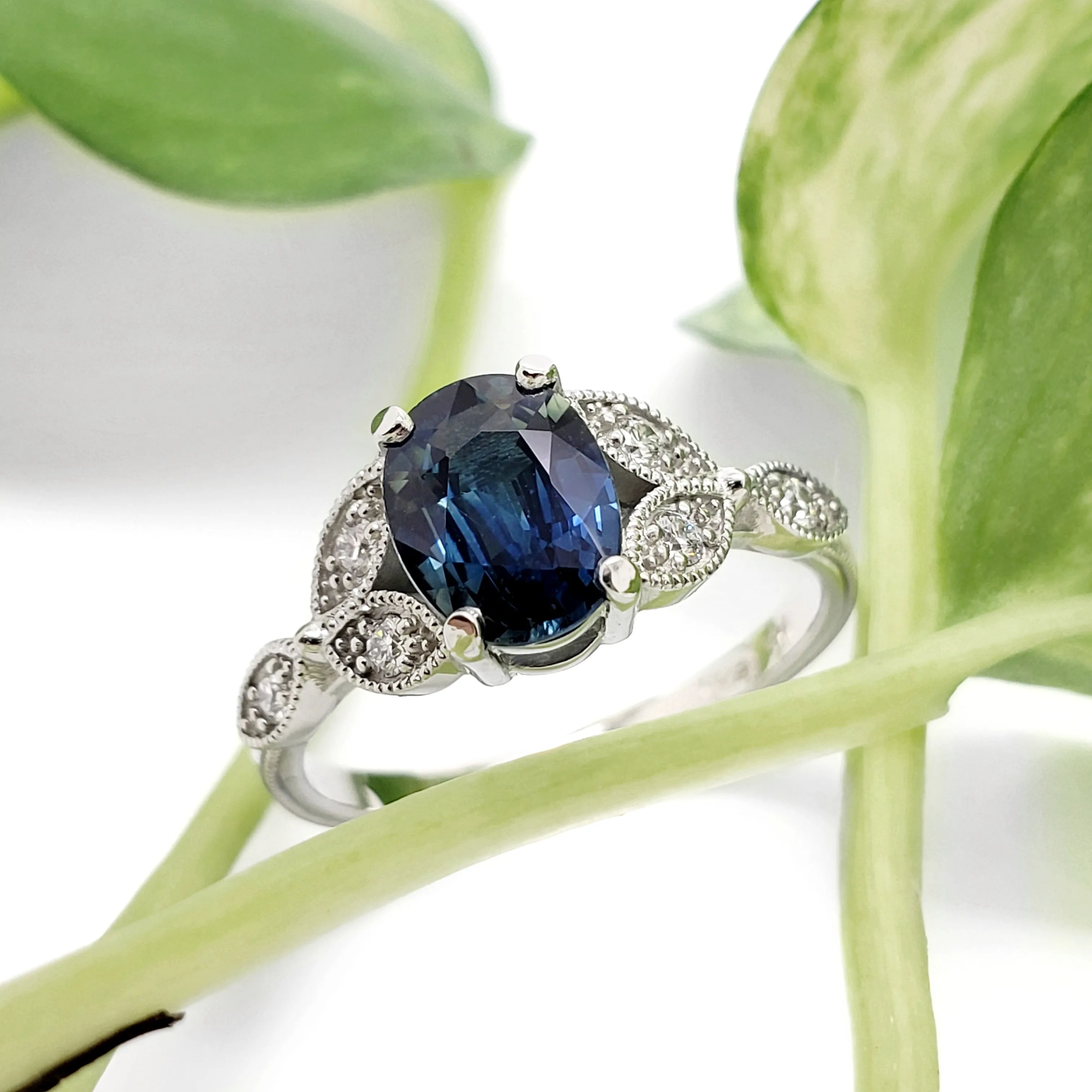 Australis | Blue Sapphire