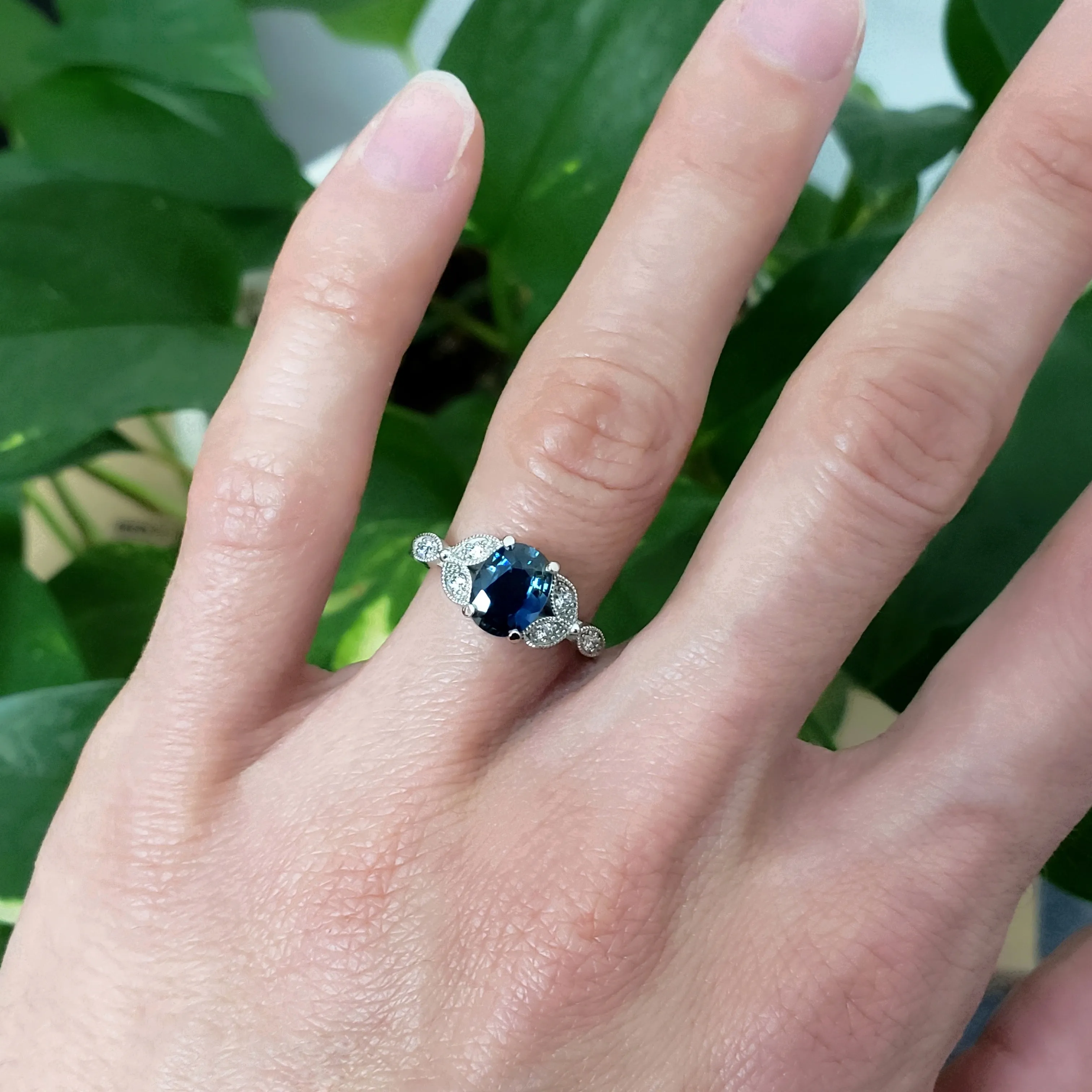 Australis | Blue Sapphire