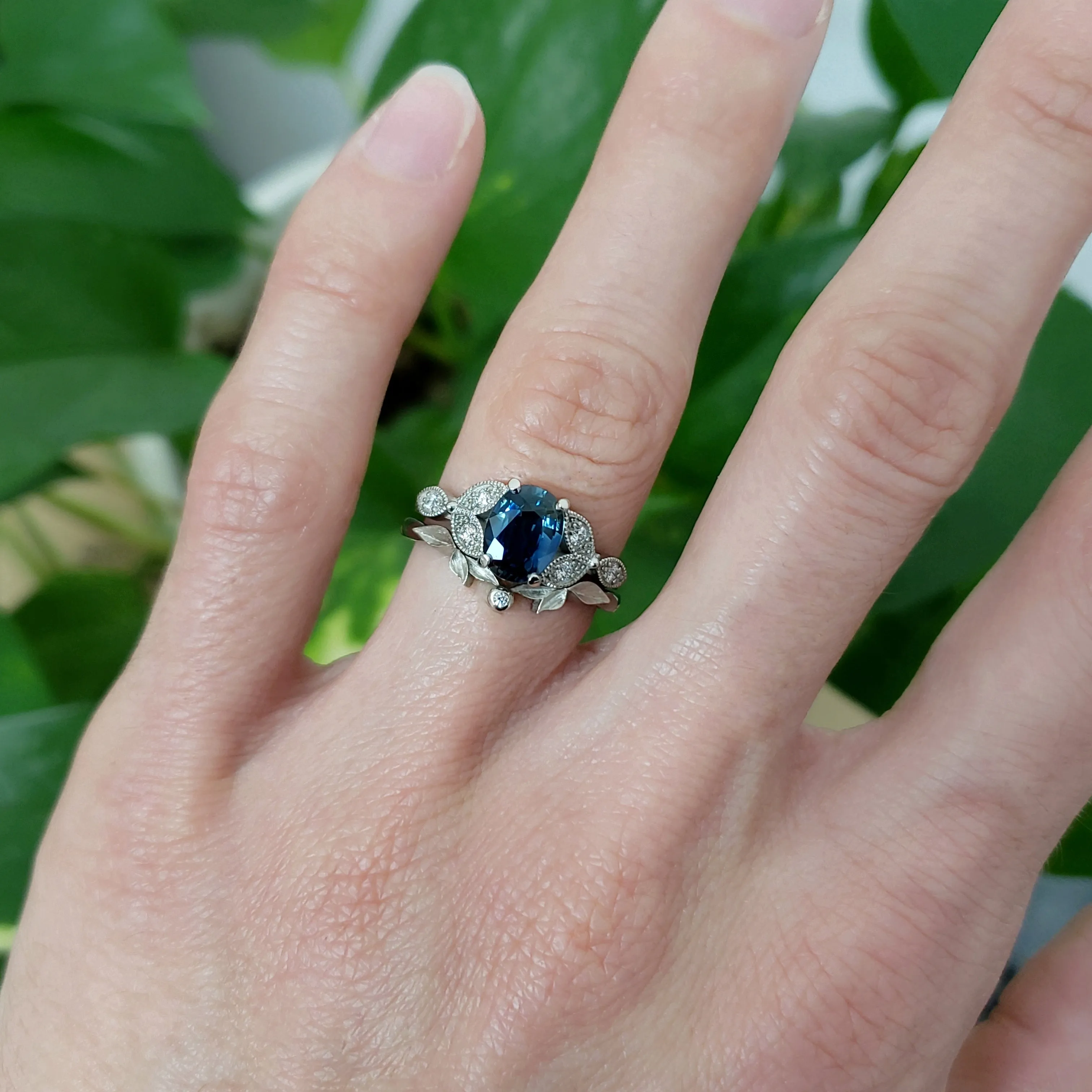 Australis | Blue Sapphire