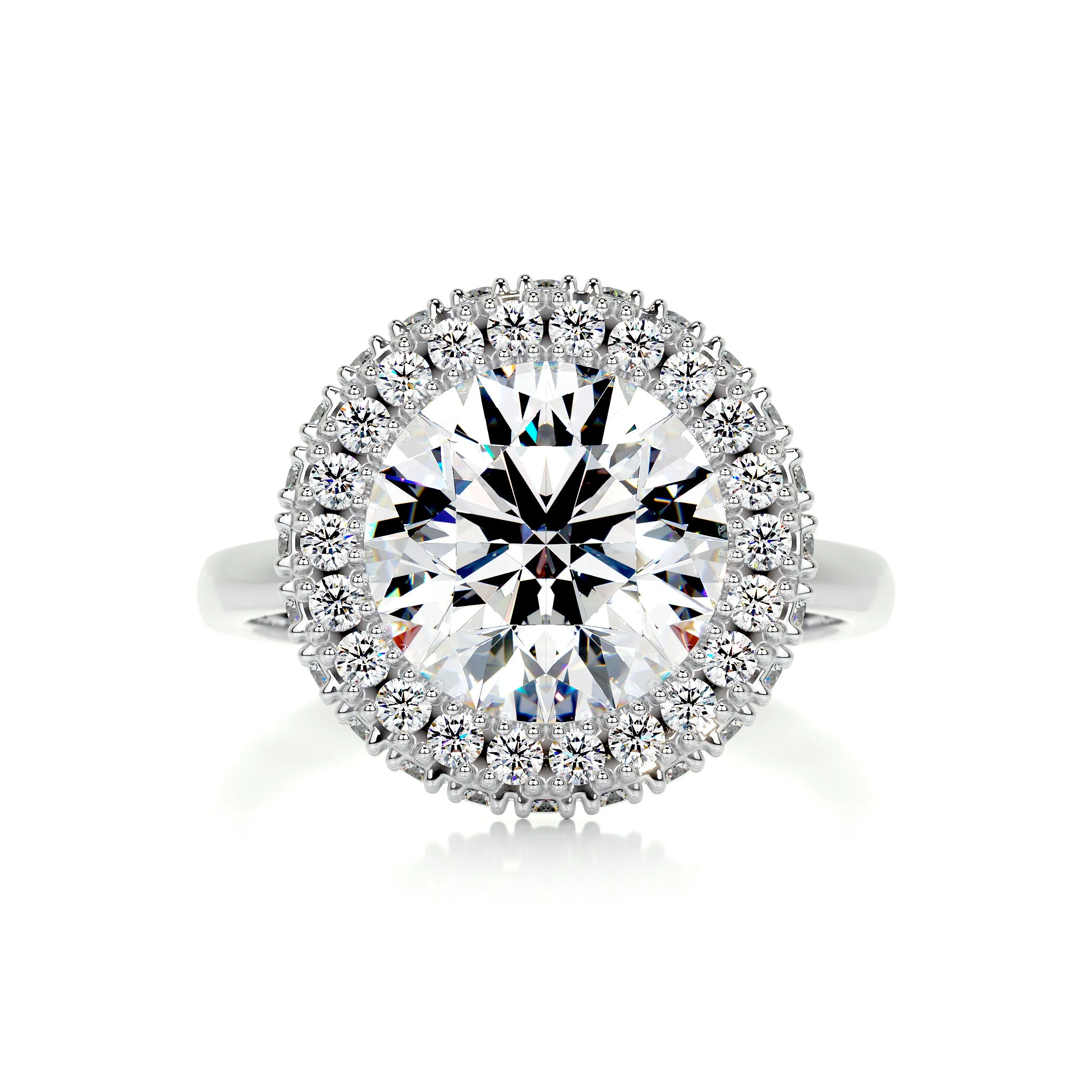 Rosalie Moissanite & Diamonds Ring -Platinum